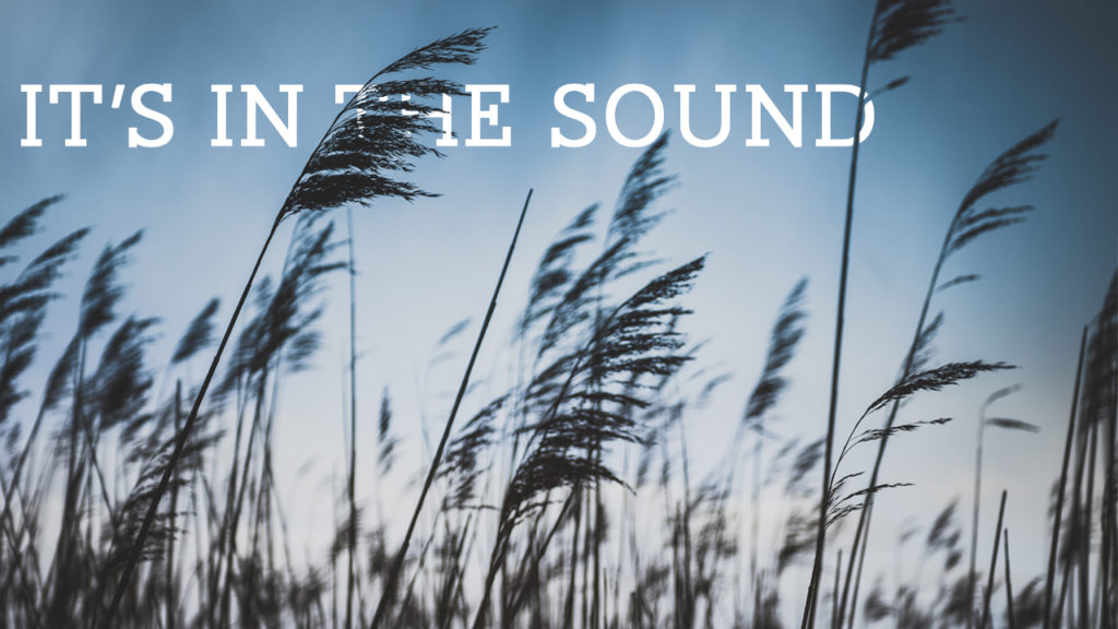 It's in the Sound Debbie Burpo