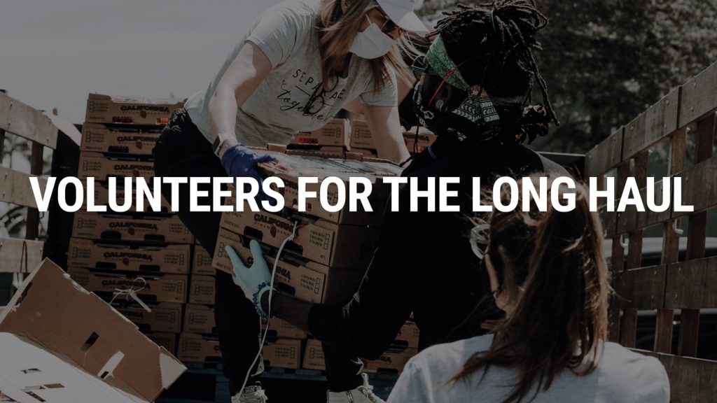 article image for Volunteers for the Long Haul