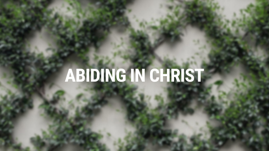 article image for Abiding in Christ