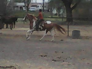 Boy on horse