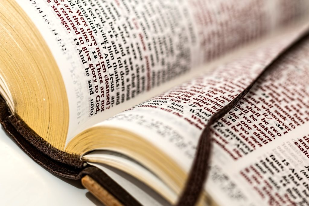 Open book 981405