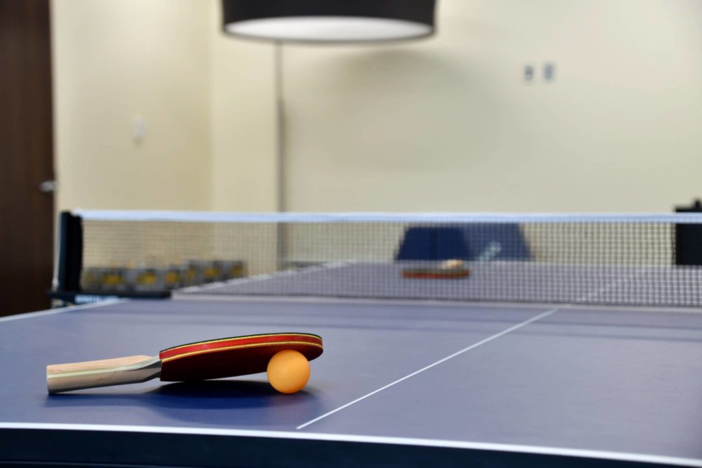 article image for Ping pong buddies