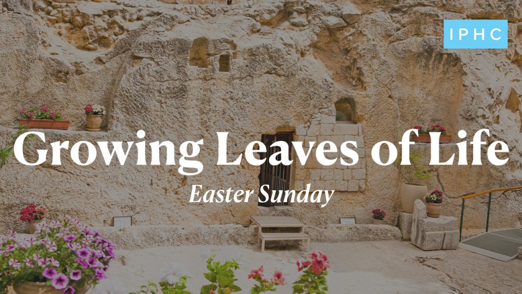 Easter Sunday