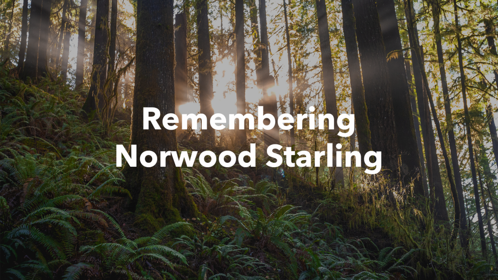 Norwood Starling