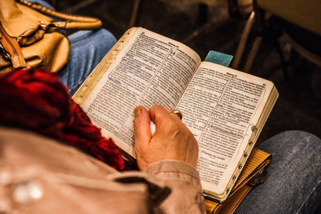 Pexels eduardo braga