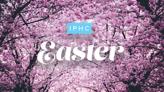 Intellectual Exchange and Artistic Expression